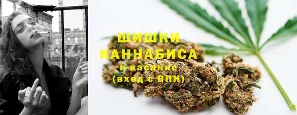 меф Арсеньев