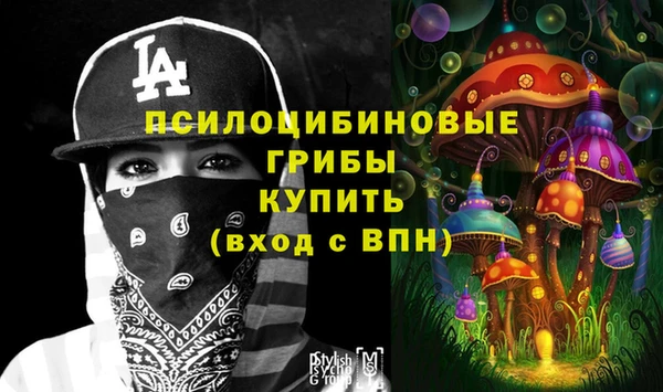 эйфоретик Аркадак