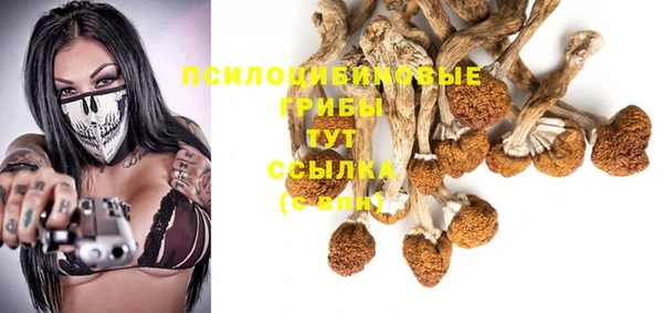 эйфоретик Аркадак