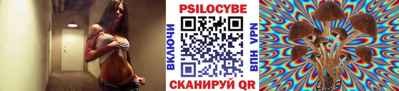 Галлюциногенные грибы Cubensis  закладки  Терек 